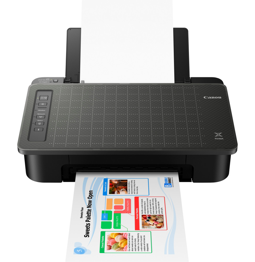 Imprimante Jet d'encre A4 Canon PIXMA TS304