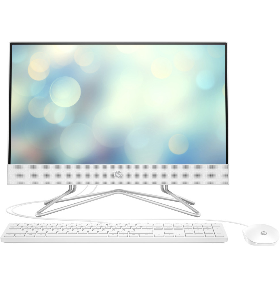 Ordinateur tout-en-un HP 22-dd1000nk