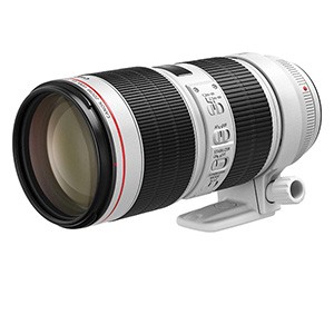 Canon EF 70-200mm f/2.8 L IS  III USM