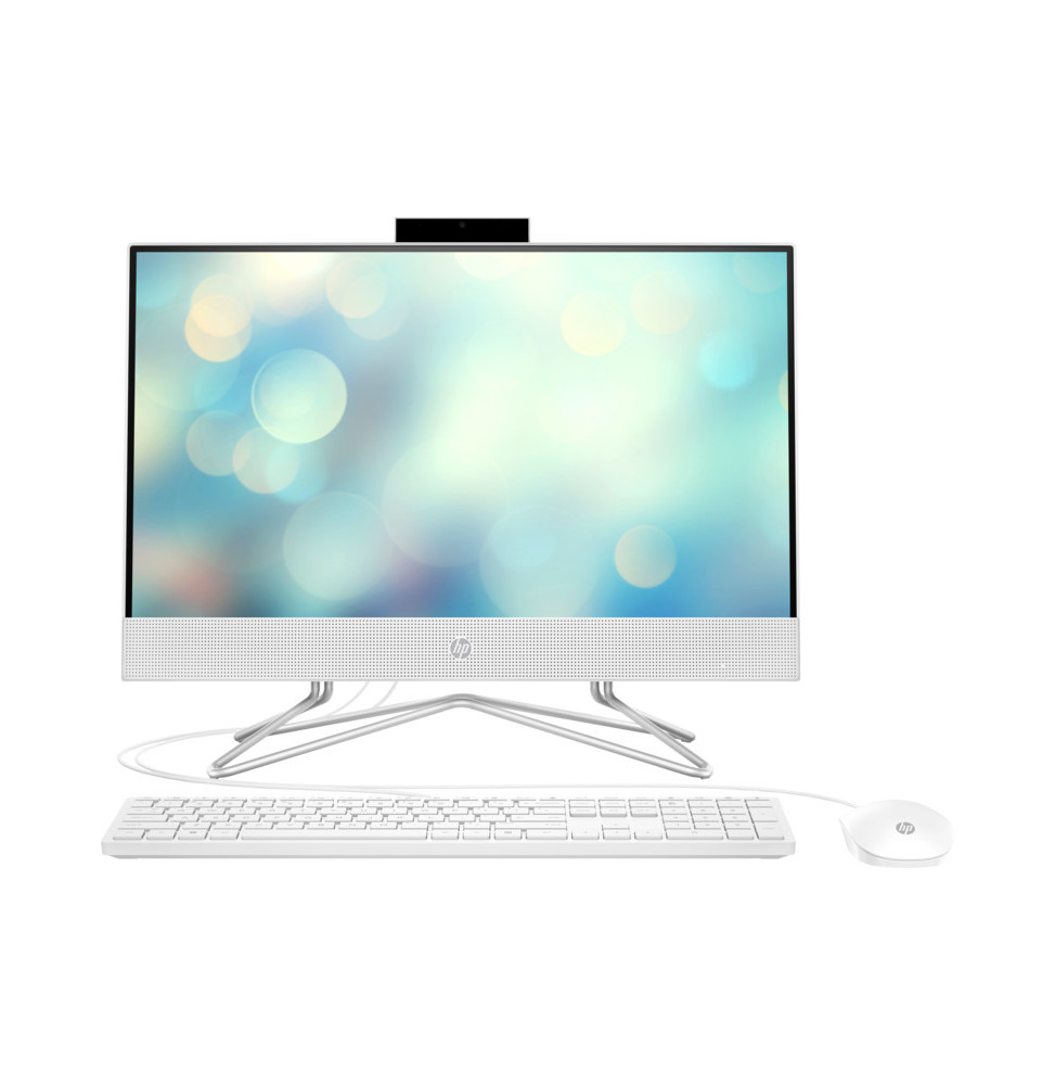 Ordinateur tout-en-un HP All-in-One 22-dd2001nk