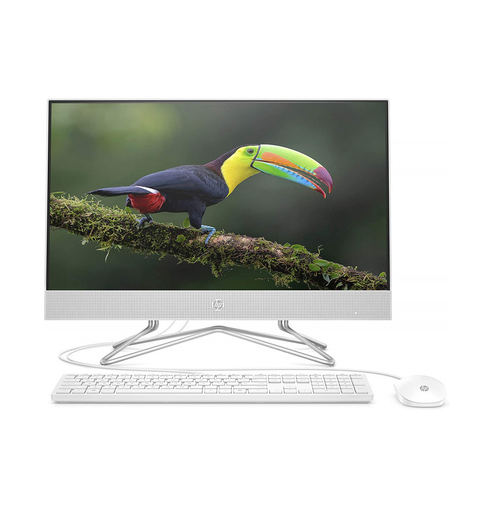 Ordinateur tout-en-un HP 200 G4 22