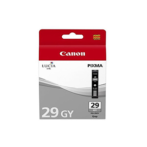CANON PGI-29DGY CARTOUCHE D'ENCRE ORIGINAL GRIS