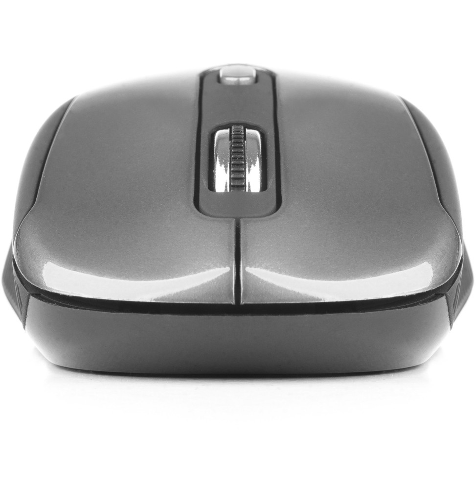 Souris sans fil NGS HAZE Gris