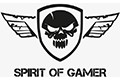 Spirit of Gamer