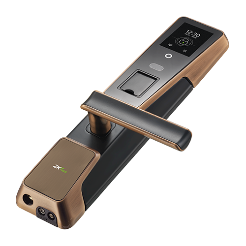 Le verrou intelligent avec la technologie de reconnaissance biométrique hybride