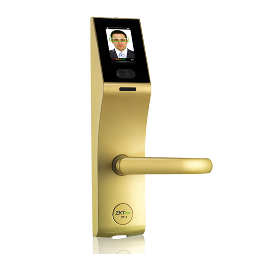 Verrouillage du visage avec options de mot de passe et de carte